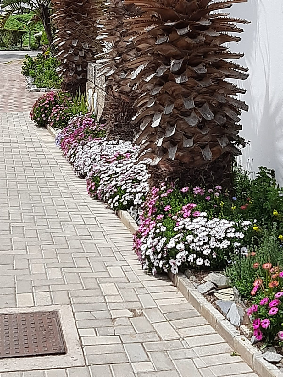 210915 Spring