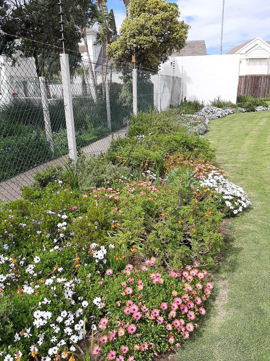 210915 Spring